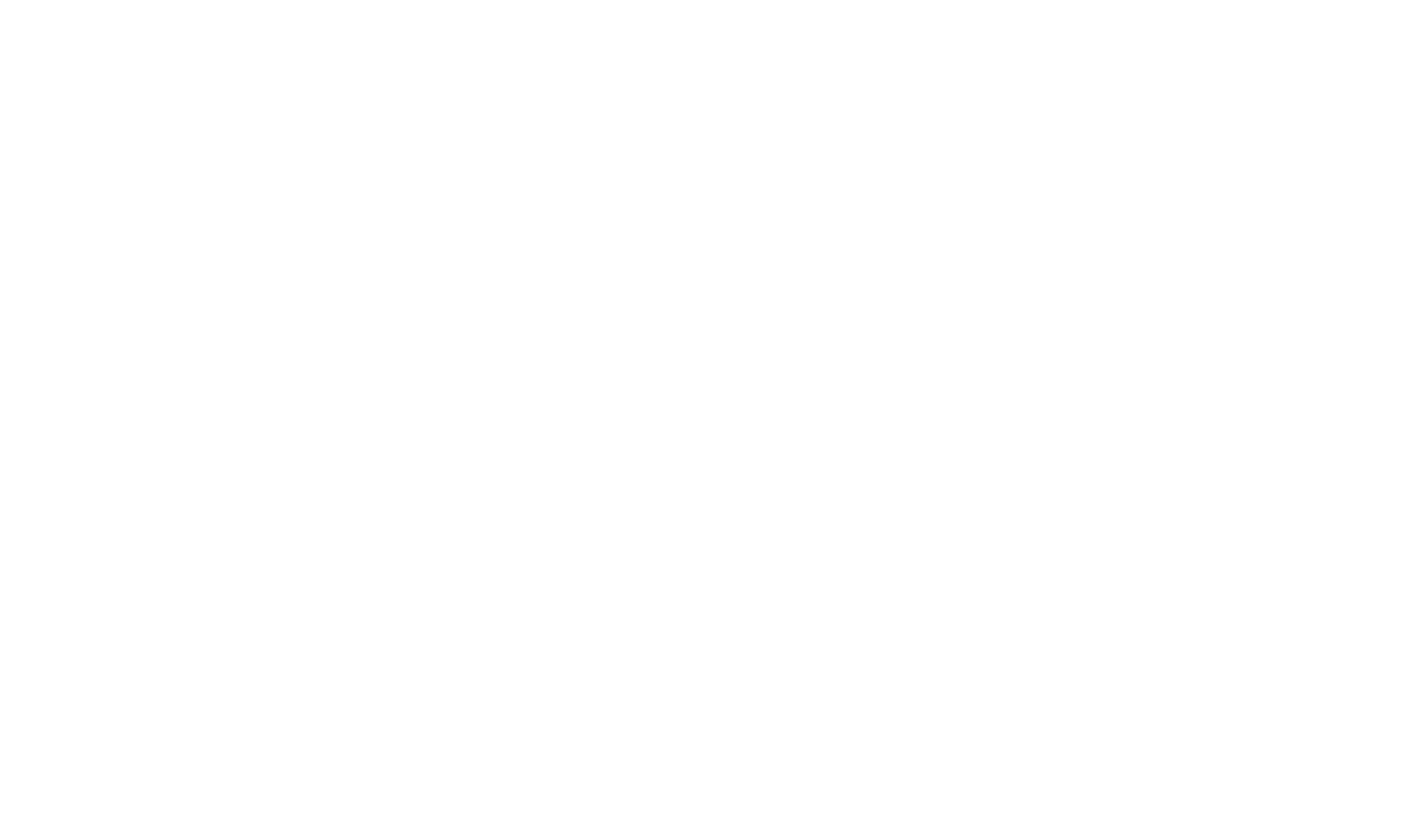 FEI Logo