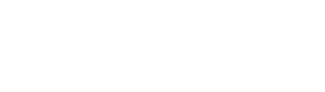Viseo Logo